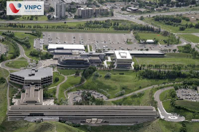 University of Lethbridge: Điều kiện, chi phí, chương trình học MỚI NHẤT